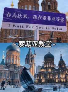 哈尔滨旅游团报价查询,哈尔滨旅游团五天四晚游费用 第4张 哈尔滨旅游团报价查询,哈尔滨旅游团五天四晚游费用 第4张
