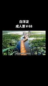 白洋淀一日游多少钱,白洋淀一日游团购? 第2张 白洋淀一日游多少钱,白洋淀一日游团购? 第2张