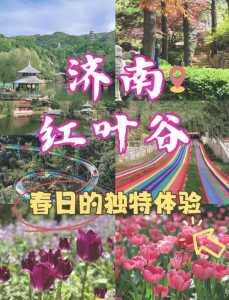 济南红叶谷景区门票费用,济南红叶谷景区门票费用十月一? 第2张 济南红叶谷景区门票费用,济南红叶谷景区门票费用十月一? 第2张