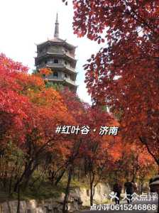 济南红叶谷景区门票费用,济南红叶谷景区门票费用十月一? 第4张 济南红叶谷景区门票费用,济南红叶谷景区门票费用十月一? 第4张