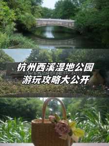 杭州西溪湿地公园门票,杭州西溪湿地公园门票老年人有优惠吗? 第1张 杭州西溪湿地公园门票,杭州西溪湿地公园门票老年人有优惠吗? 第1张
