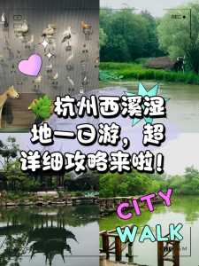 杭州西溪湿地公园门票,杭州西溪湿地公园门票老年人有优惠吗? 第2张 杭州西溪湿地公园门票,杭州西溪湿地公园门票老年人有优惠吗? 第2张