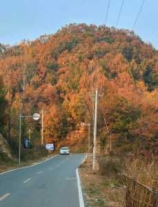 河南旅游线路图,河南旅游路线攻略? 第2张 河南旅游线路图,河南旅游路线攻略? 第2张