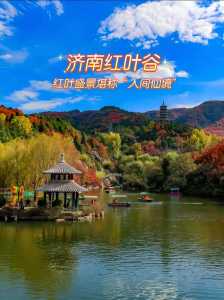 济南红叶谷景区介绍,济南红叶谷风景区简介? 第1张 济南红叶谷景区介绍,济南红叶谷风景区简介? 第1张
