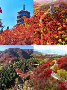 济南红叶谷景区介绍,济南红叶谷风景区简介? 第4张 济南红叶谷景区介绍,济南红叶谷风景区简介? 第4张