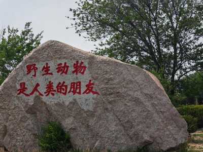 八达岭野生动物园游玩攻略,八达岭野生动物园门票多少? 第2张 八达岭野生动物园游玩攻略,八达岭野生动物园门票多少? 第2张