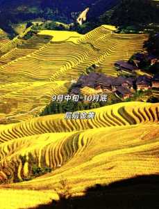 桂林龙脊梯田旅游攻略,桂林龙脊梯田景点介绍 第1张 桂林龙脊梯田旅游攻略,桂林龙脊梯田景点介绍 第1张