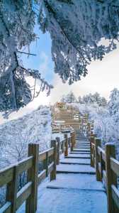 西岭雪山景点介绍?西岭雪山景点介绍五十字? 第1张 西岭雪山景点介绍?西岭雪山景点介绍五十字? 第1张