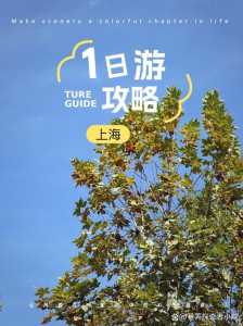 上海一日游必去路线?上海一日游必去景? 第1张 上海一日游必去路线?上海一日游必去景? 第1张