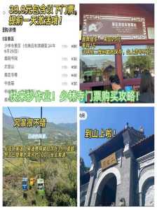 少林寺门票怎样最便宜,少林寺门票免票 第1张 少林寺门票怎样最便宜,少林寺门票免票 第1张