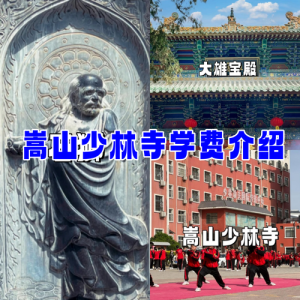 少林寺门票怎样最便宜,少林寺门票免票 第2张 少林寺门票怎样最便宜,少林寺门票免票 第2张