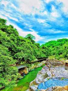 亚龙湾热带天堂森林公园好玩吗?亚龙湾热带天堂森林公园现场门票费用? 第1张 亚龙湾热带天堂森林公园好玩吗?亚龙湾热带天堂森林公园现场门票费用? 第1张