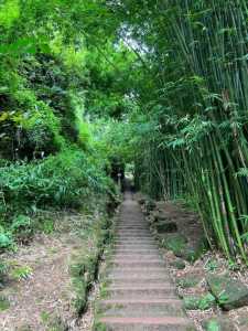 邛崃天台山门票,邛崃天台山门票多少钱? 第3张 邛崃天台山门票,邛崃天台山门票多少钱? 第3张