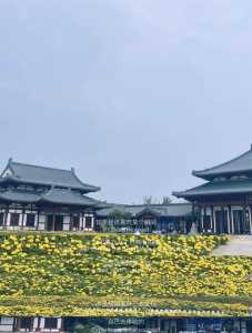 上海附近旅游景点排名,上海附近旅游攻略? 第1张 上海附近旅游景点排名,上海附近旅游攻略? 第1张