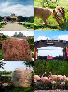 黄河游览风景区,黄河游览风景区郑州今日有计么活动 第1张 黄河游览风景区,黄河游览风景区郑州今日有计么活动 第1张