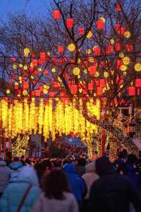 春节去什么地方旅游比较好,春节去哪玩最合适? 第2张 春节去什么地方旅游比较好,春节去哪玩最合适? 第2张