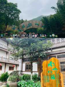 南山竹海门票多少钱一张?南山竹海门票免费吗? 第3张 南山竹海门票多少钱一张?南山竹海门票免费吗? 第3张