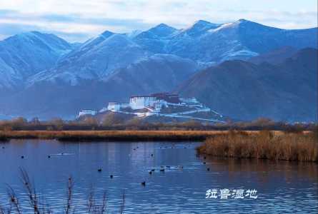 拉萨附近的景点有哪几个,拉萨附近有什么地方? 第5张 拉萨附近的景点有哪几个,拉萨附近有什么地方? 第5张