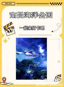 南昌海洋公园门票团购?南昌海洋公园在哪里订票? 第1张 南昌海洋公园门票团购?南昌海洋公园在哪里订票? 第1张