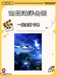 南昌海洋公园门票团购?南昌海洋公园在哪里订票? 第3张 南昌海洋公园门票团购?南昌海洋公园在哪里订票? 第3张