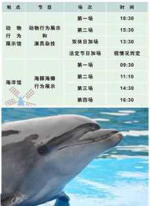 南昌海洋公园门票团购?南昌海洋公园在哪里订票? 第5张 南昌海洋公园门票团购?南昌海洋公园在哪里订票? 第5张