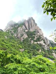 上海到黄山旅游攻略三日游?上海到黄山旅游攻略二日游? 第3张 上海到黄山旅游攻略三日游?上海到黄山旅游攻略二日游? 第3张