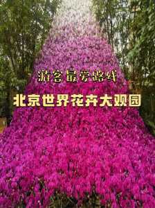 花卉大观园门票?花卉大观园门票老年证有效吗? 第2张 花卉大观园门票?花卉大观园门票老年证有效吗? 第2张