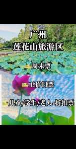 广州莲花山门票,广州莲花山门票规定? 第3张 广州莲花山门票,广州莲花山门票规定? 第3张