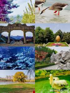 沈阳旅游攻略必去景点推荐,沈阳旅游景点? 第3张 沈阳旅游攻略必去景点推荐,沈阳旅游景点? 第3张