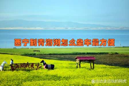西宁到青海湖怎么坐车,西宁到青海湖怎么坐车多少钱 第1张 西宁到青海湖怎么坐车,西宁到青海湖怎么坐车多少钱 第1张