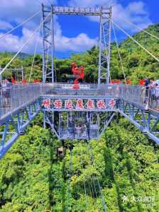 呀诺达热带雨林门票,呀诺达热带雨林门票团购 第2张 呀诺达热带雨林门票,呀诺达热带雨林门票团购 第2张