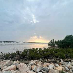 深圳红树林海滨公园,深圳红树林海滨公园在哪个区? 第1张 深圳红树林海滨公园,深圳红树林海滨公园在哪个区? 第1张