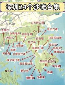 深圳红树林海滨公园,深圳红树林海滨公园在哪个区? 第2张 深圳红树林海滨公园,深圳红树林海滨公园在哪个区? 第2张