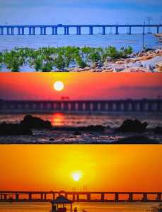 深圳红树林海滨公园,深圳红树林海滨公园在哪个区? 第4张 深圳红树林海滨公园,深圳红树林海滨公园在哪个区? 第4张