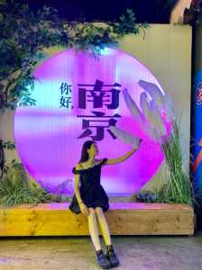 南京夫子庙有什么好玩的,住在南京夫子庙旅游攻略? 第3张 南京夫子庙有什么好玩的,住在南京夫子庙旅游攻略? 第3张