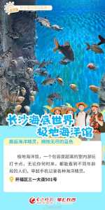 长沙海底世界现在开放吗,长沙海底世界开放吗? 第4张 长沙海底世界现在开放吗,长沙海底世界开放吗? 第4张