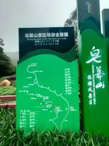 佛山景点一日游自驾游,佛山景点一日游自驾游路线? 第4张 佛山景点一日游自驾游,佛山景点一日游自驾游路线? 第4张