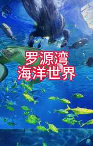 福州罗源湾海洋世界,福州罗源湾海洋世界离哪个动车站近 第3张 福州罗源湾海洋世界,福州罗源湾海洋世界离哪个动车站近 第3张