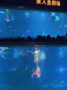 福州罗源湾海洋世界,福州罗源湾海洋世界离哪个动车站近 第6张 福州罗源湾海洋世界,福州罗源湾海洋世界离哪个动车站近 第6张