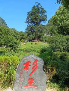 湖北旅游攻略五日游?湖北旅游攻略五日游多少钱? 第1张 湖北旅游攻略五日游?湖北旅游攻略五日游多少钱? 第1张