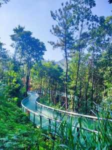 义乌旅游景点排名,义乌旅游景点排名开心谷 第1张 义乌旅游景点排名,义乌旅游景点排名开心谷 第1张