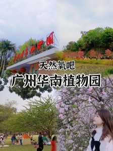 广州华南植物园门票,广州华南植物园门票多少钱 第3张 广州华南植物园门票,广州华南植物园门票多少钱 第3张