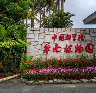 广州华南植物园门票,广州华南植物园门票多少钱 第4张 广州华南植物园门票,广州华南植物园门票多少钱 第4张