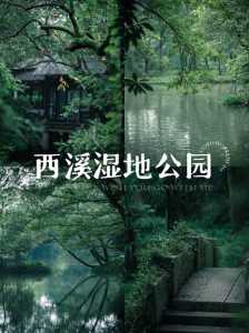 西溪湿地公园游玩路线,西溪湿地公园游玩路线图 第3张 西溪湿地公园游玩路线,西溪湿地公园游玩路线图 第3张