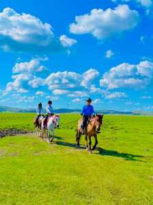 坝上草原旅游攻略,坝上草原旅游攻略最佳路线? 第3张 坝上草原旅游攻略,坝上草原旅游攻略最佳路线? 第3张