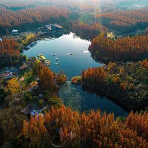 崇明岛旅游景点大全,崇明岛旅游景点大全图片 第2张 崇明岛旅游景点大全,崇明岛旅游景点大全图片 第2张