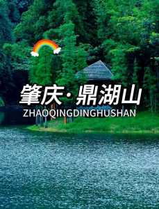 鼎湖山门票费用,鼎湖山门票费用老人 第1张 鼎湖山门票费用,鼎湖山门票费用老人 第1张