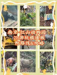红山森林动物园门票,红山森林动物园门票要预约吗 第1张 红山森林动物园门票,红山森林动物园门票要预约吗 第1张