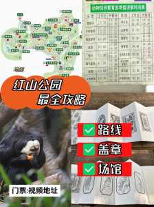红山森林动物园门票,红山森林动物园门票要预约吗 第3张 红山森林动物园门票,红山森林动物园门票要预约吗 第3张