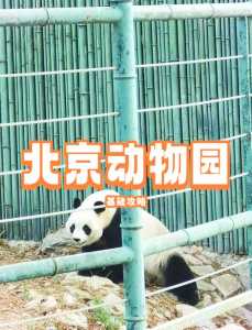 北京动物园门票多少钱一个人,北京动物园门票多少钱一张? 第1张 北京动物园门票多少钱一个人,北京动物园门票多少钱一张? 第1张